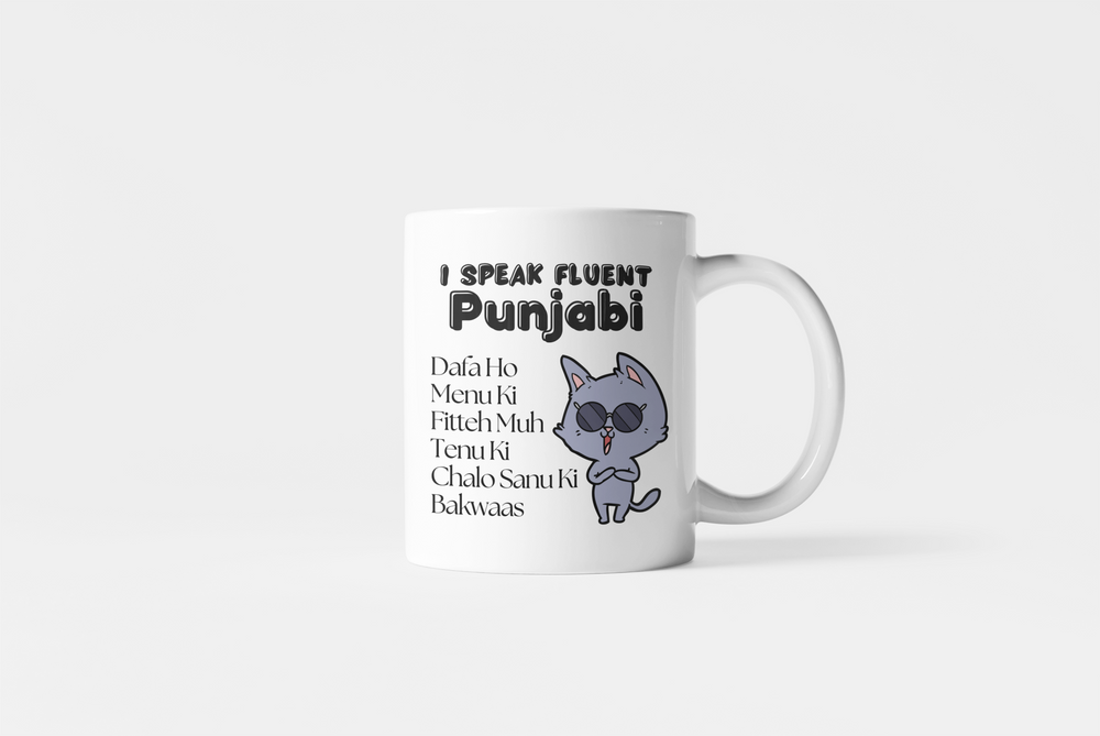 Fluent Punjabi Mug